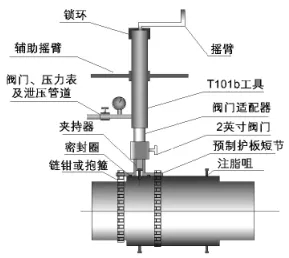 抖圈- 为du而生(中国区)官方网站